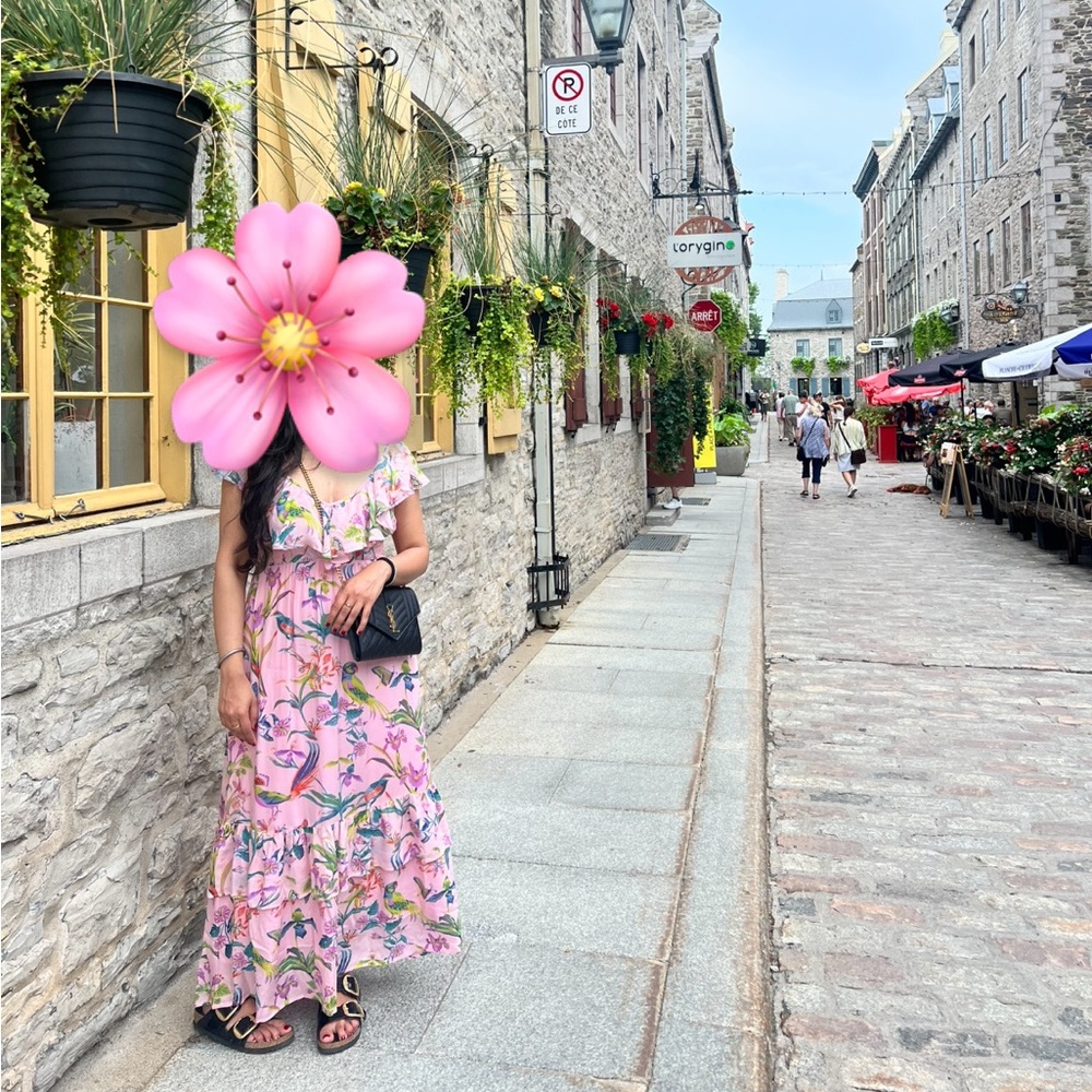 Banjanan Pink Floral Maxi Dress